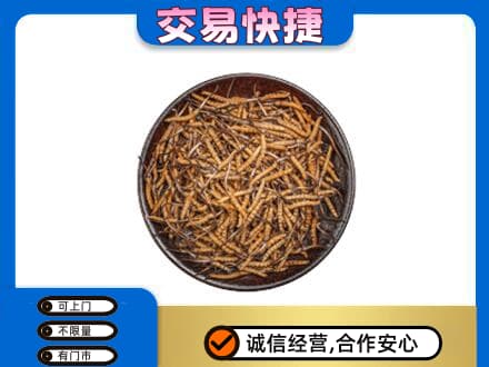 宁德市屏南高价回收散虫草