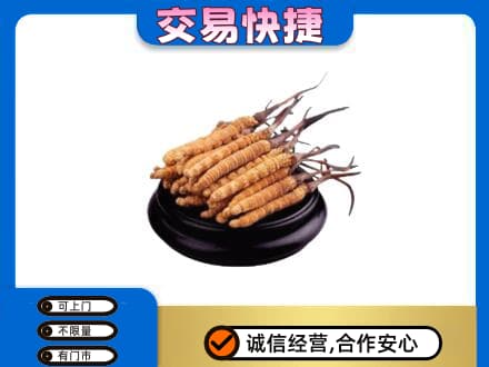 宁德市屏南礼品回收散虫草.jpg